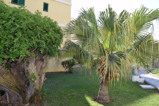 Tara apartment Playa del Ingles  Bagian luar foto